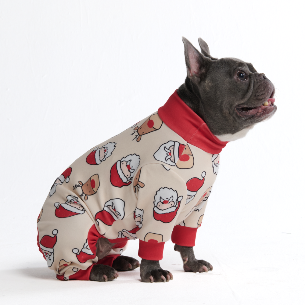 Christmas Dog Pajamas, L