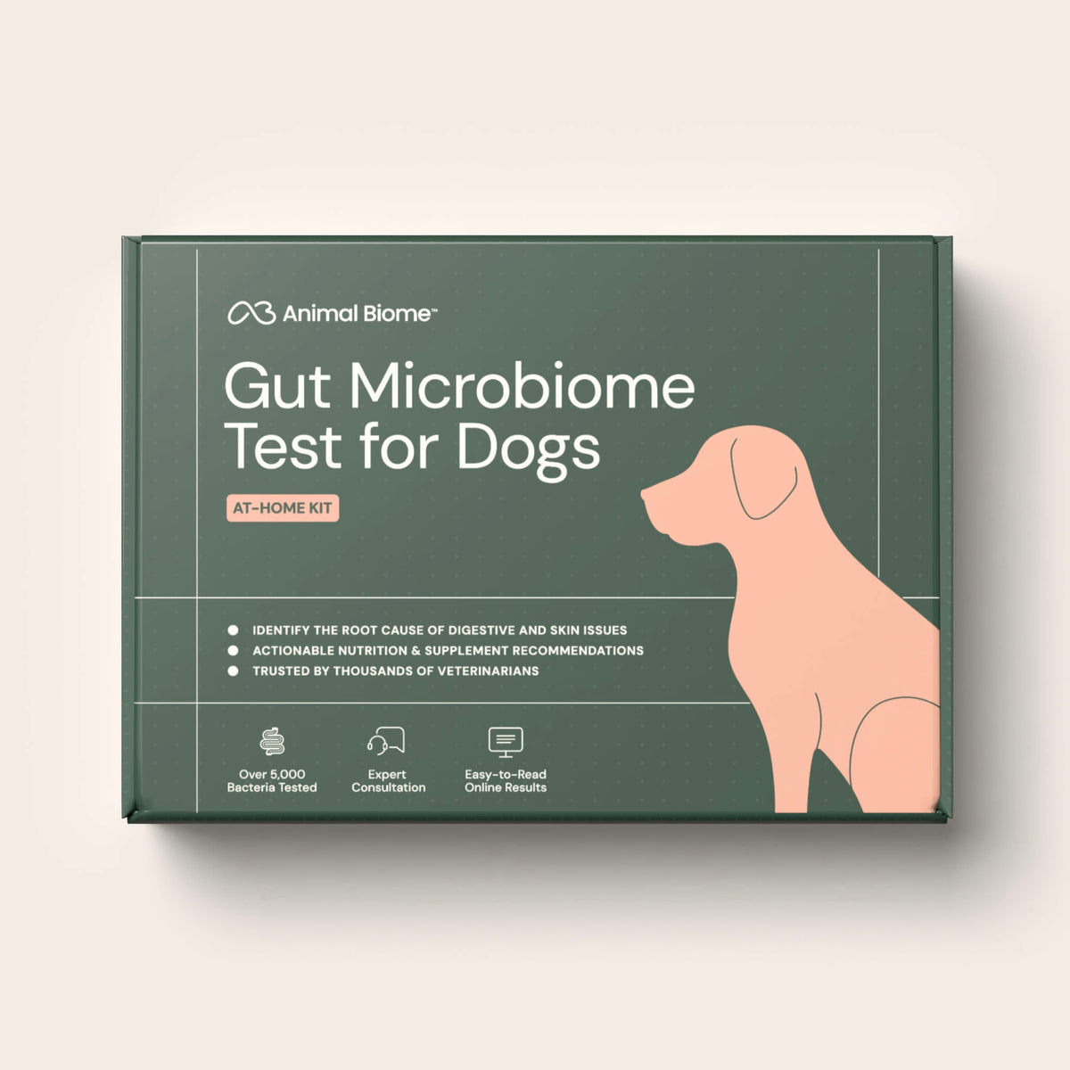Dog Gut Microbiome Test Kit Dogs Within the US