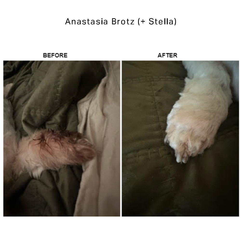 Dog Allergy Support Soft Chews product image 5
