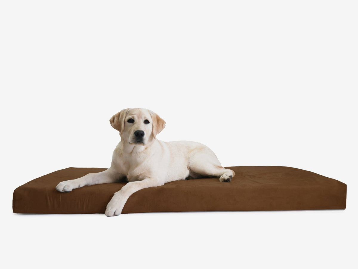 Orthopedic Dog Crate Bed XXL - 50" X 32" X 4" / Chocolate