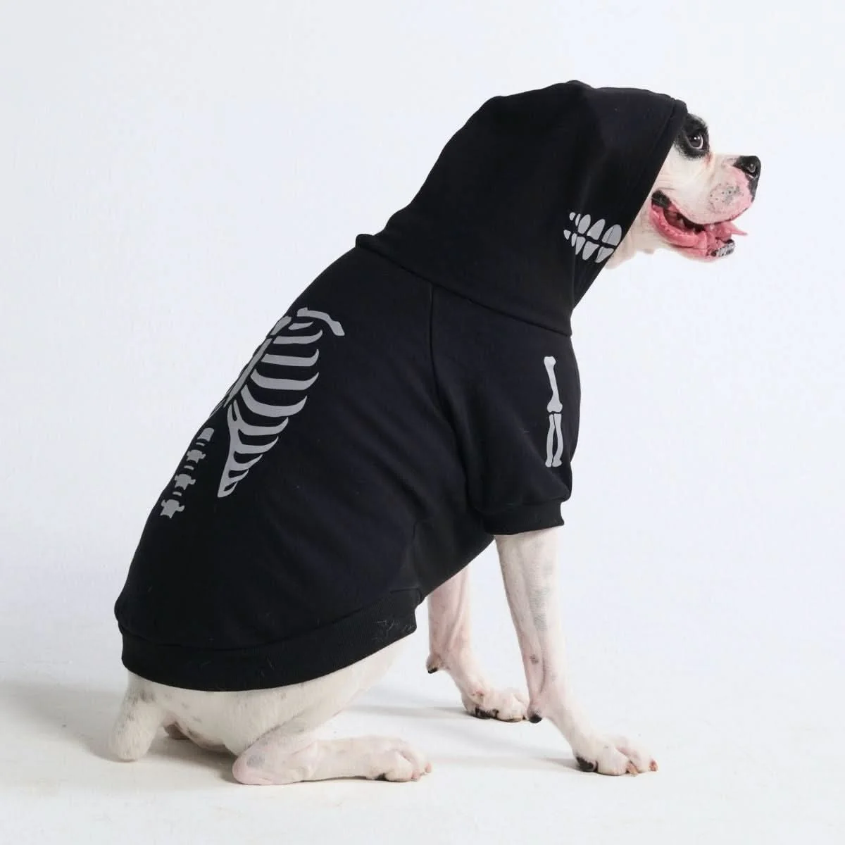 Halloween Dog Hoodie, Halloween Skeleton Hoodie / 4XL