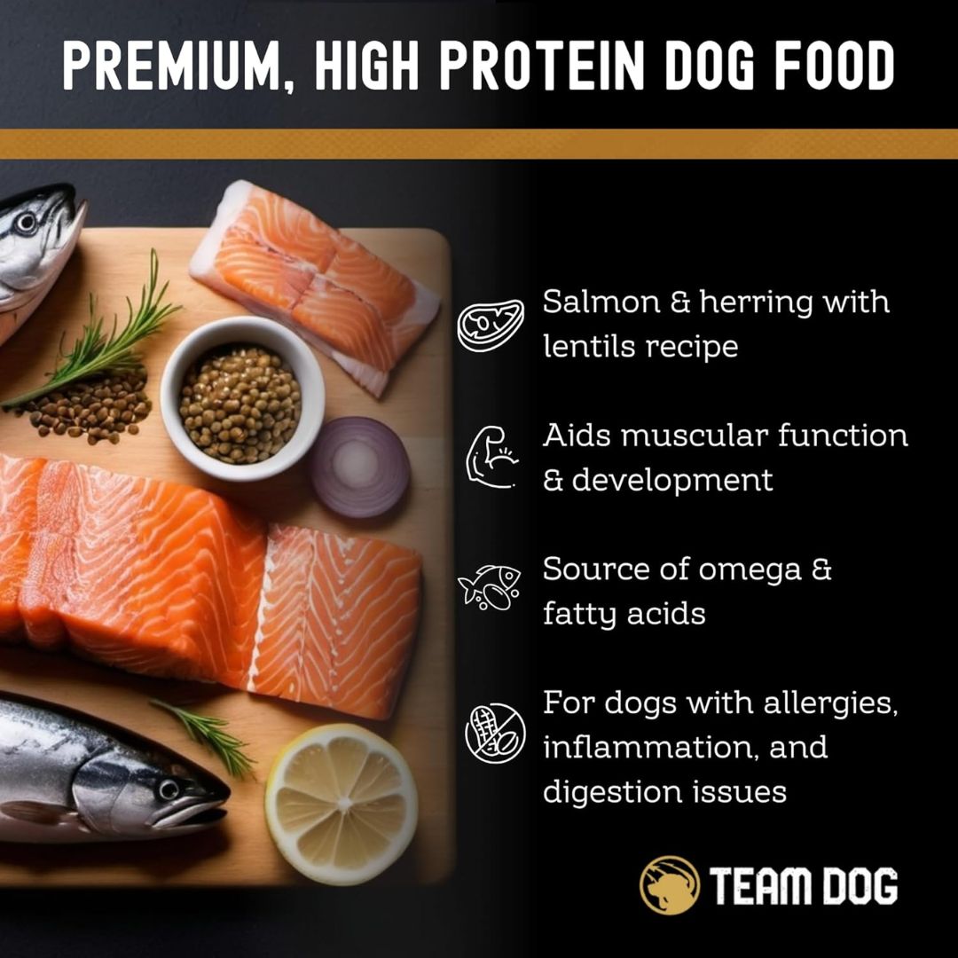 Dog Food Sample Pack product image 3