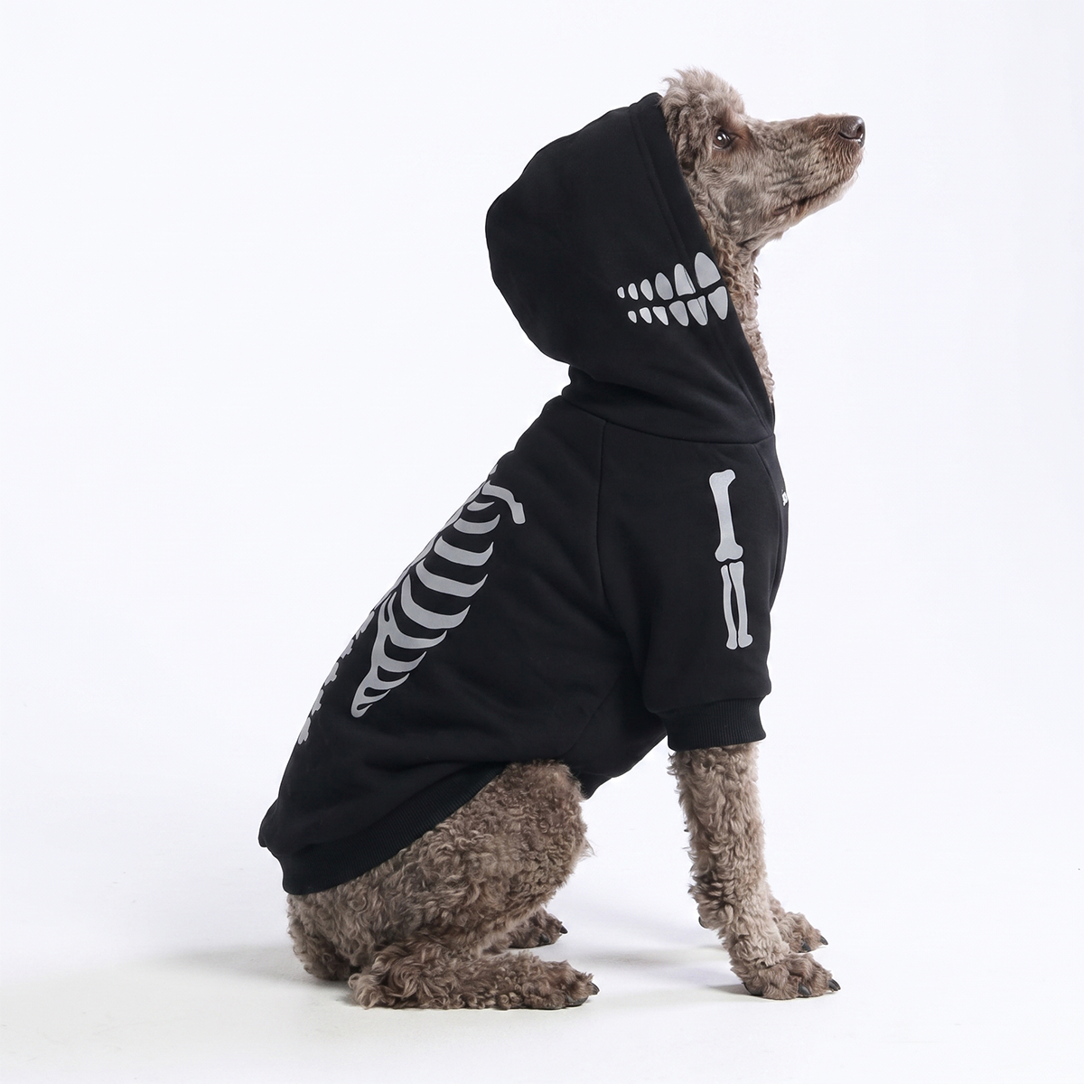 Halloween Dog Hoodie, Halloween Skeleton Hoodie / 2XL