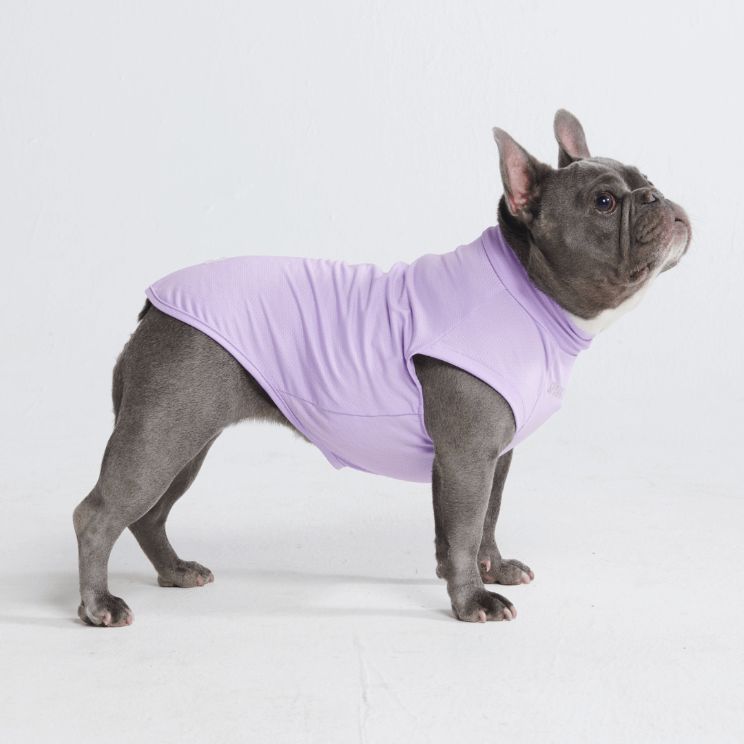 UPF 30 Dog Sun Shirt product image 1