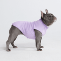 UPF 30 Dog Sun Shirt, Purple Shirt / S