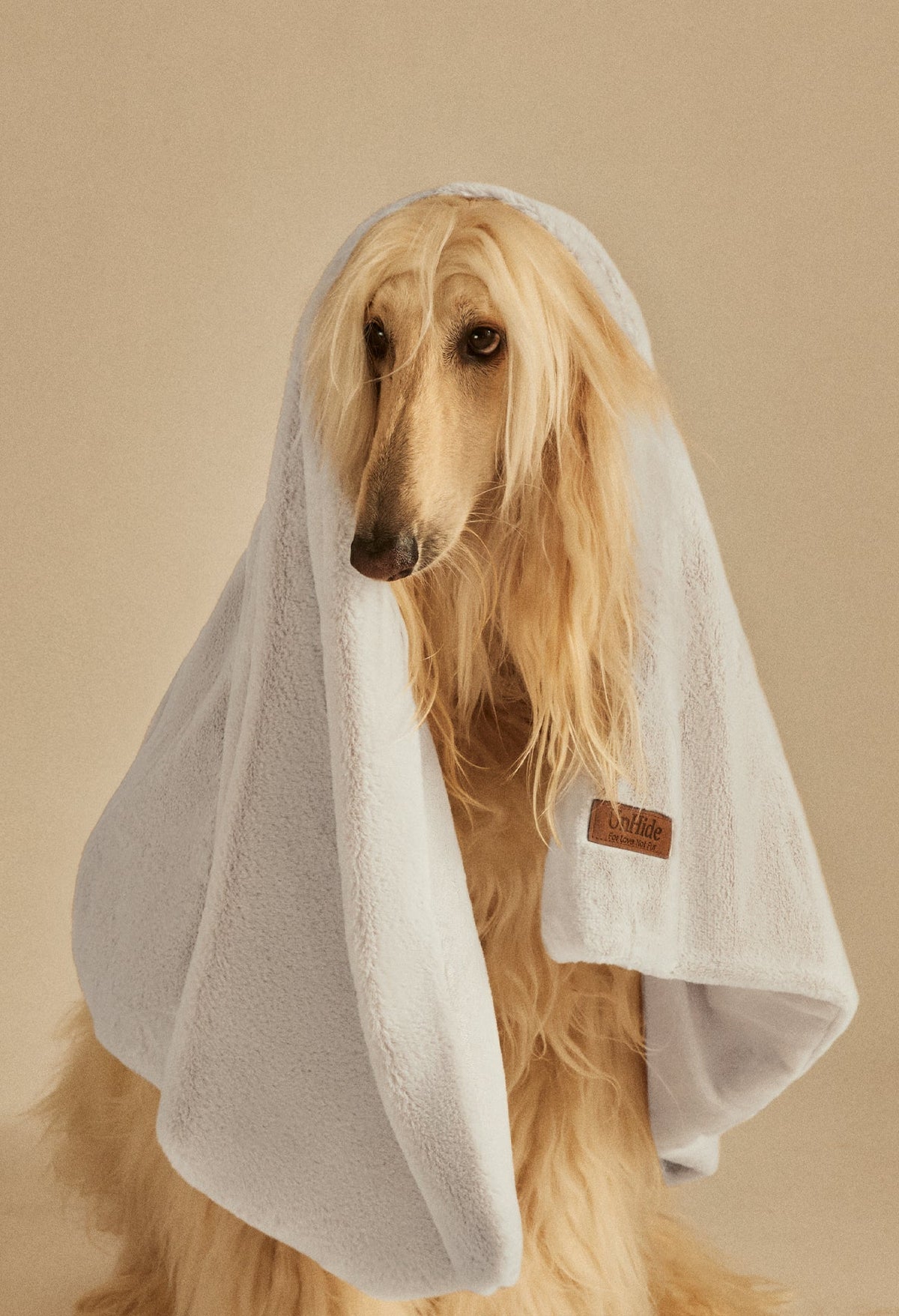 Water-Resistant Pet Blanket Snow White