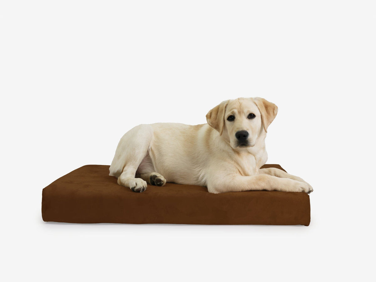 Orthopedic Dog Crate Bed Medium - 33.2" X 21.2" X 4" / Chocolate