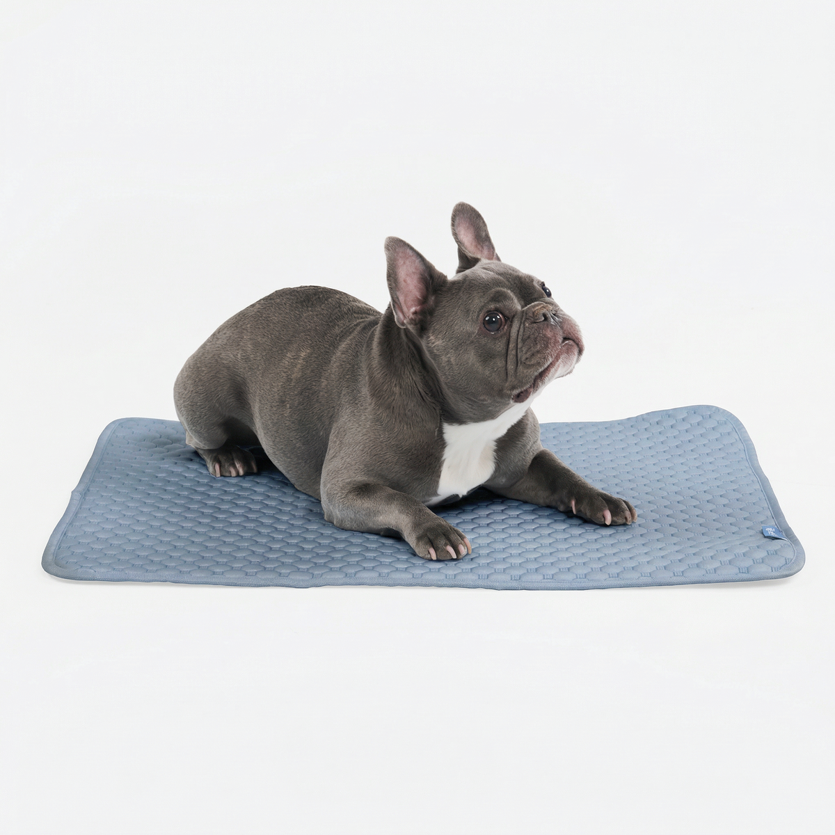 Breathable Cooling Dog Mat Ash Blue / M