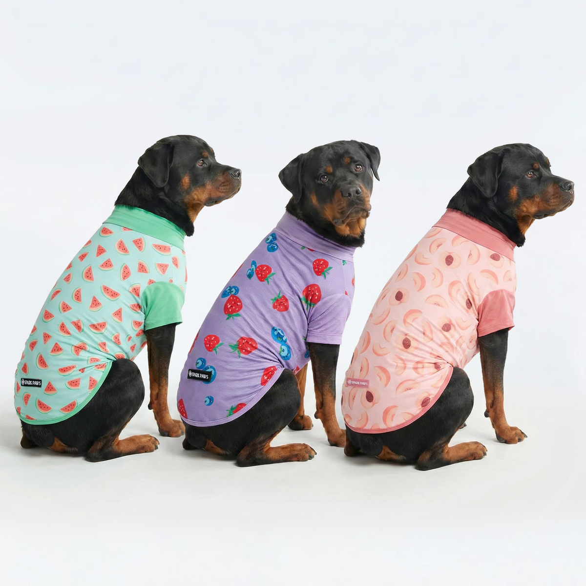 UPF 30 Dog Sun Shirt, Watermelon Berries Peaches / 4XL