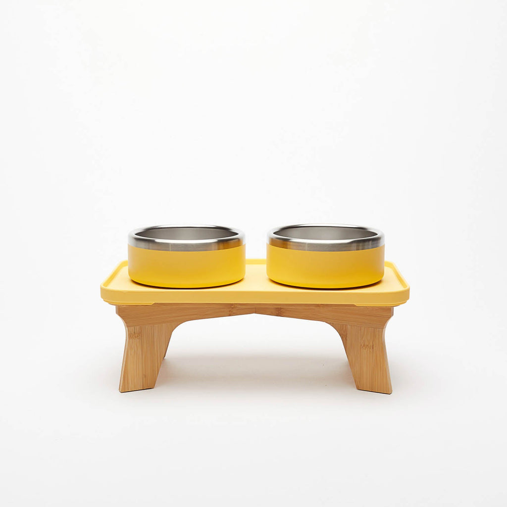 Elevated Pet Slow Feeder and Bowl Set product image 12