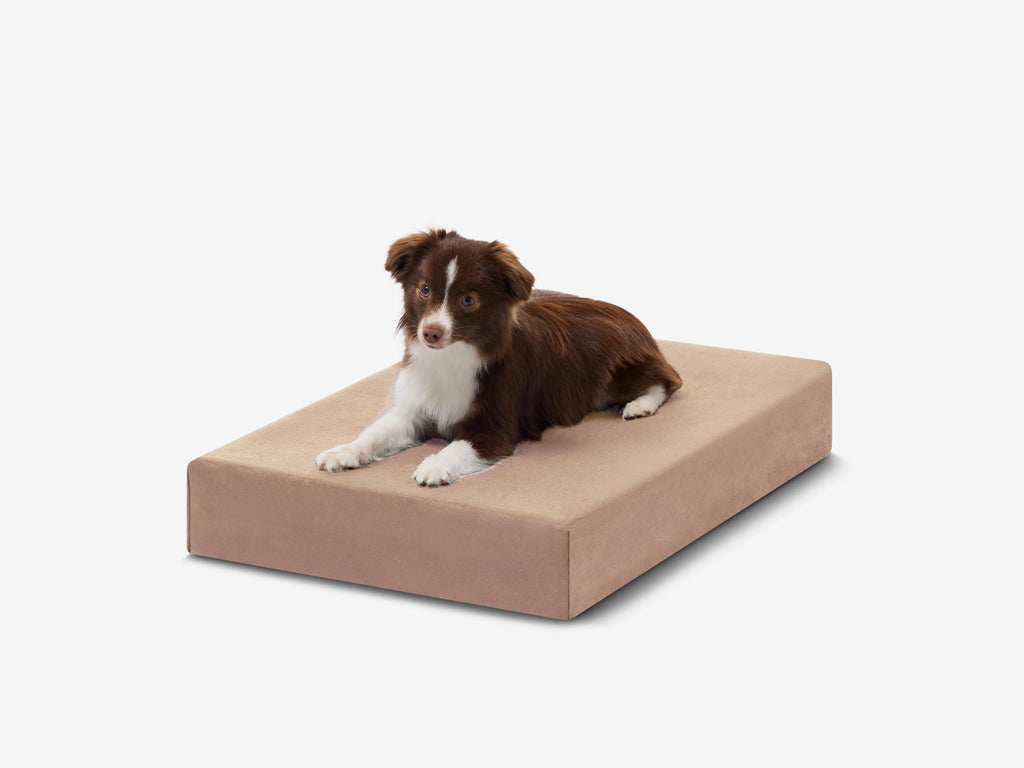Orthopedic Dog Crate Bed Small - 27" X 18.2" X 4" / Khaki