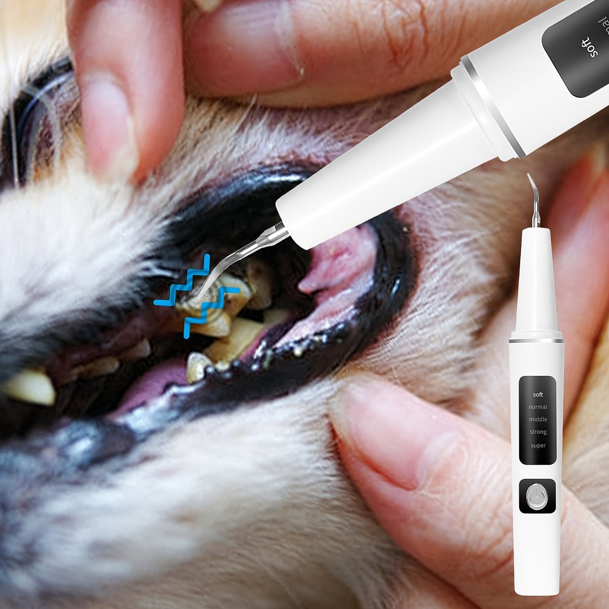 USB-Rechargeable Pet Dental Cleaning Tool with Four Interchangeable Heads, Five Modes and Dual-Lamp Illumination