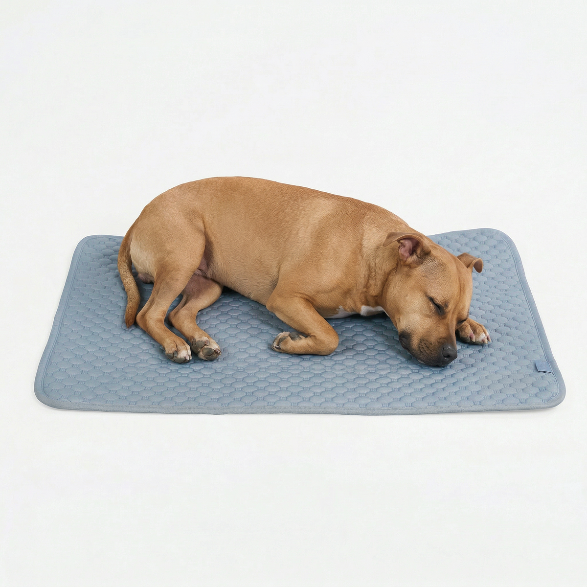 Breathable Cooling Dog Mat Ash Blue / L