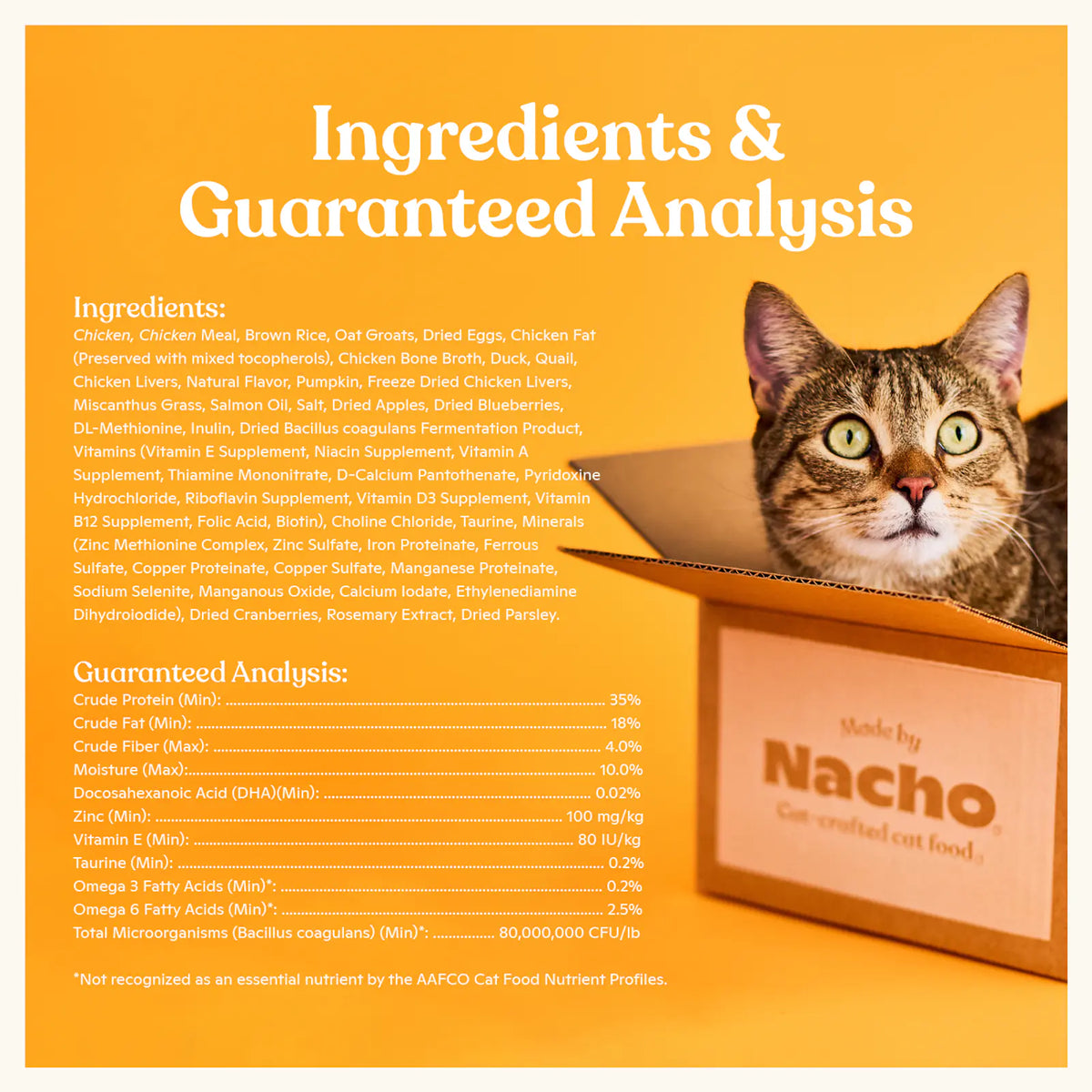 Chicken Duck Quail Dry Cat Food product image 5