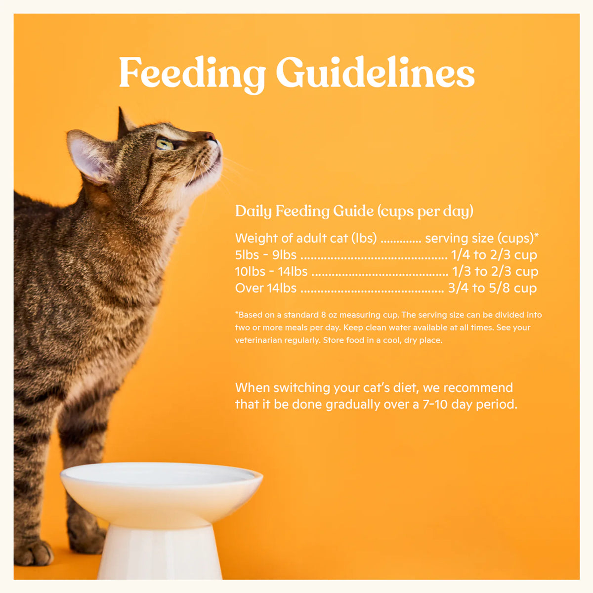Chicken Duck Quail Dry Cat Food product image 6