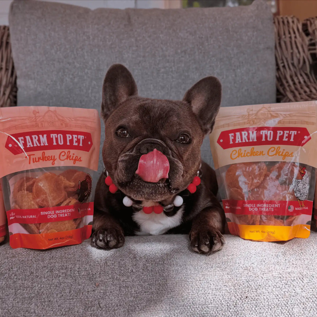 Chicken and Turkey Chip Dog Treat Duo product view 1