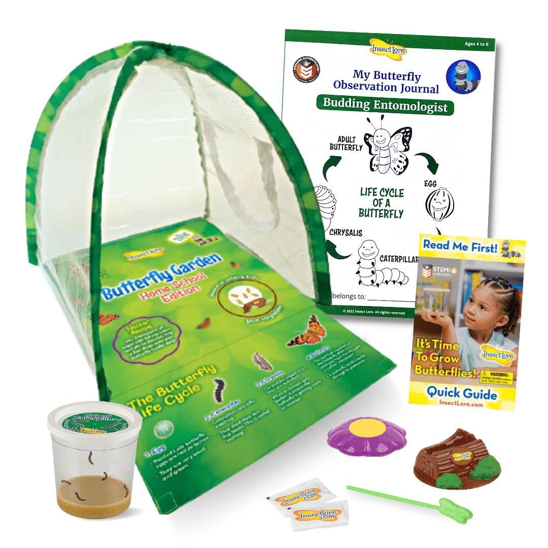 Butterfly Growing Kit, Default Title