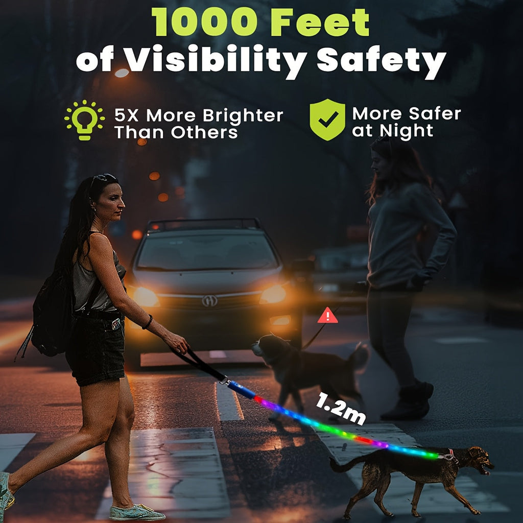 LED Dog Leash 4FT Light Up with 13 Lighting Modes & Tangle-Free Hook, Rechargeable Glow in the Dark Night Walking Leash