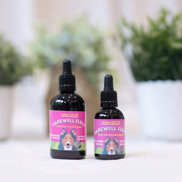 Herbal Flea and Tick Care Drops 50ml
