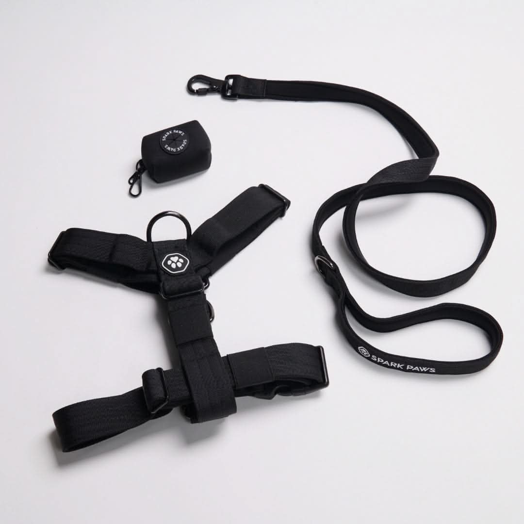 No-Pull Dog Harness Walking Set Black Harness / Size 3