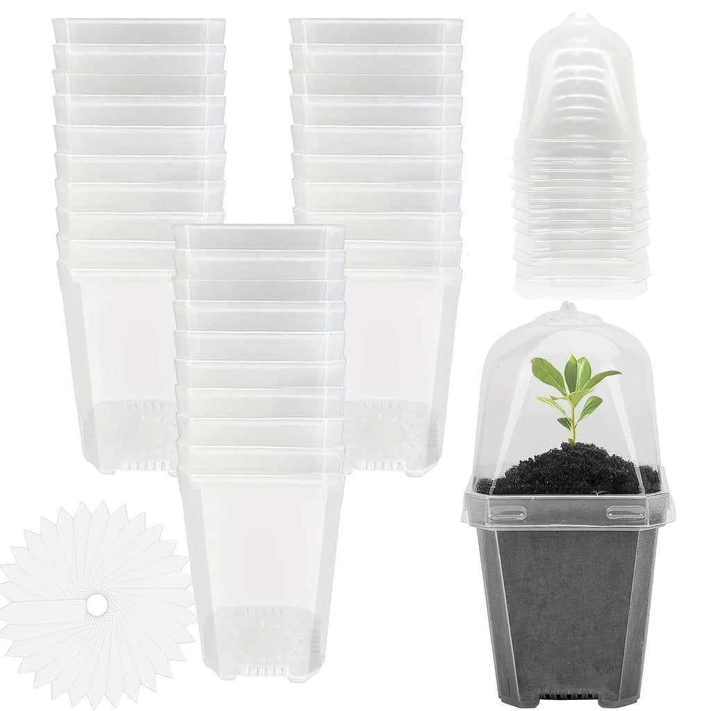 Clear Nursery Pots 3 Inch with Humidity Dome Lids 30pcs | Stackable Seed Starter Pots | Built-In Labels | Succulents Seedlings Cuttings