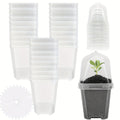 Clear Nursery Pots 3 Inch with Humidity Dome Lids 30pcs | Stackable Seed Starter Pots | Built-In Labels | Succulents Seedlings Cuttings
