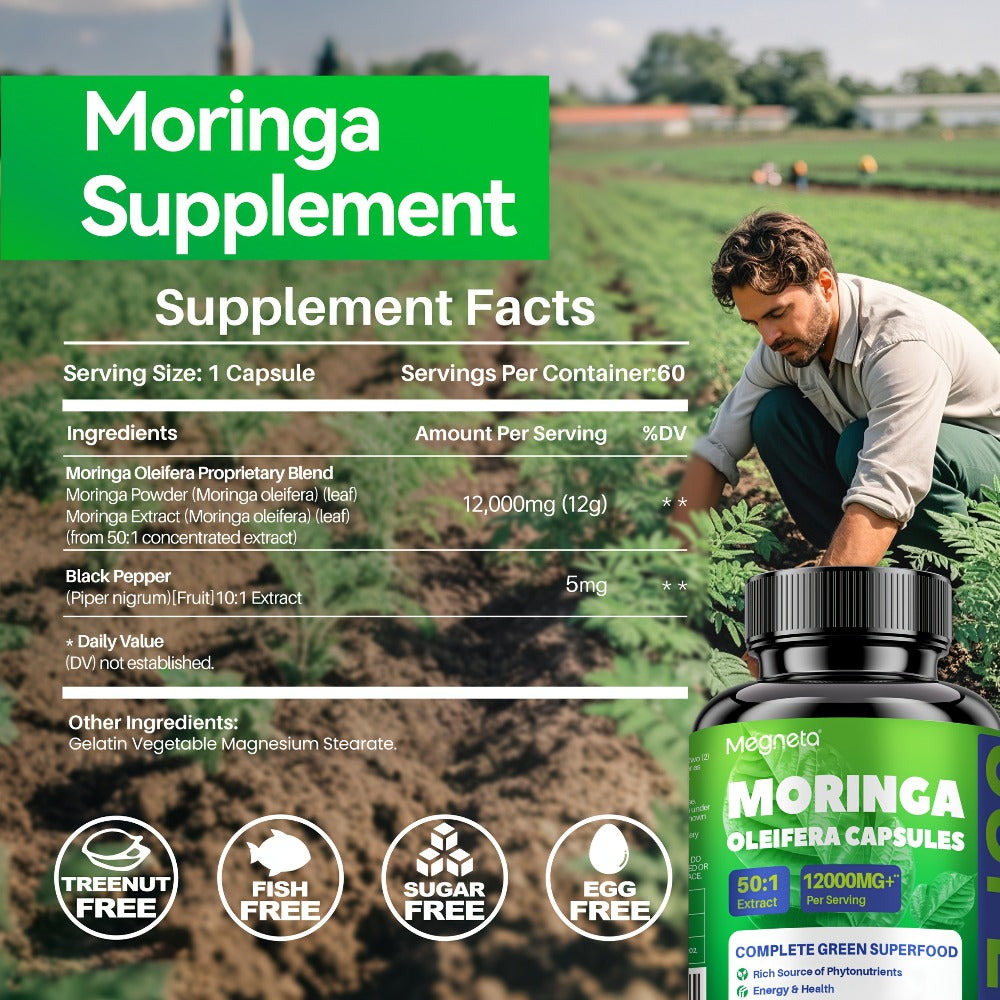 Herbal Supplements with Megneta Label, Moringa Oleifera 12000mg per Serving, 60 Capsules per Bottle