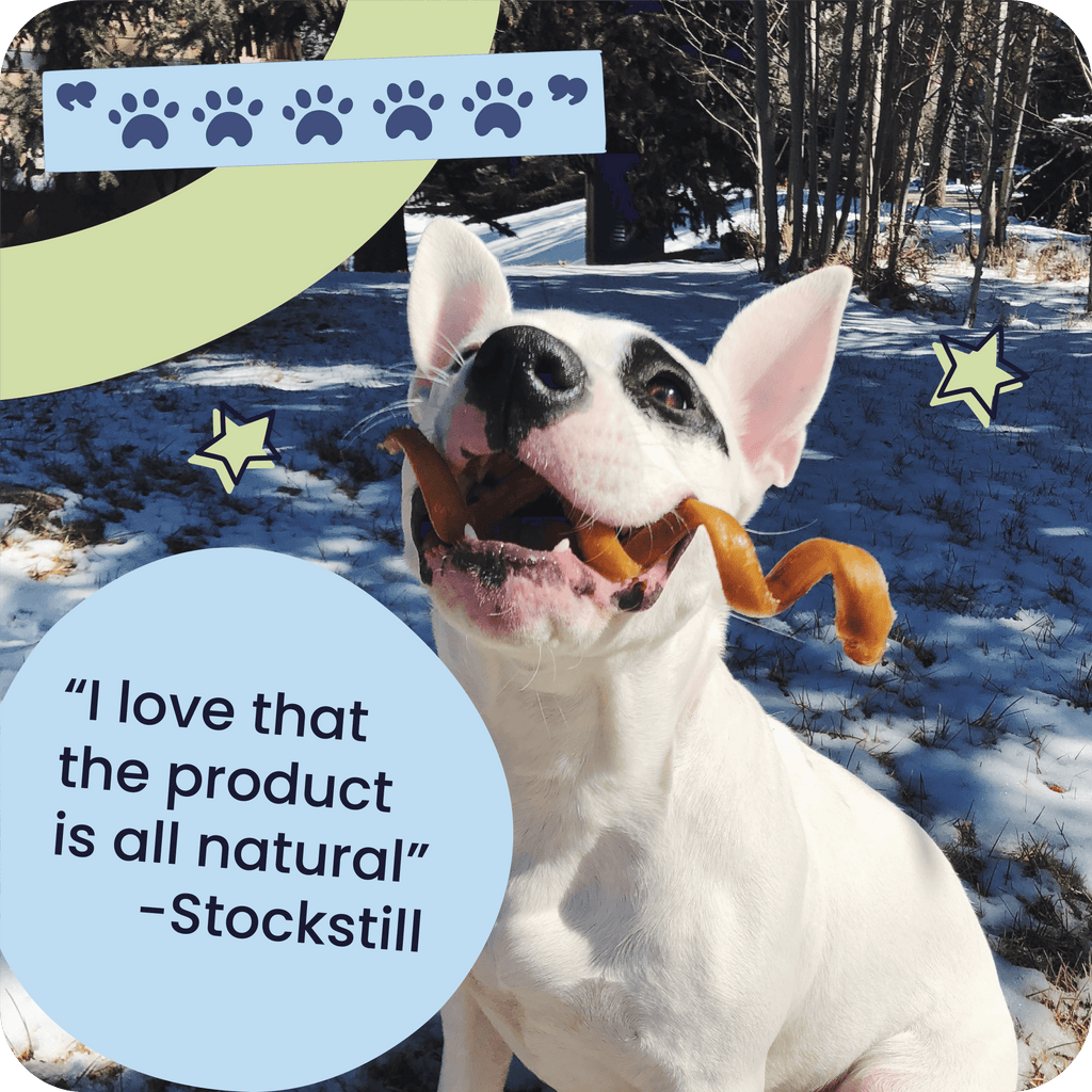 Braided Bully Stick Dog Chews product image 9