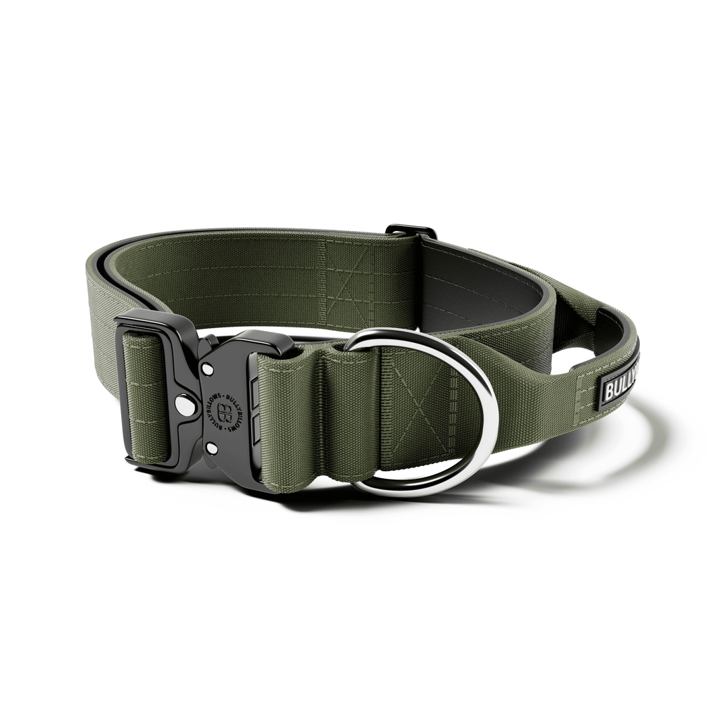 Wide Control-Handle Dog Collar product image 1