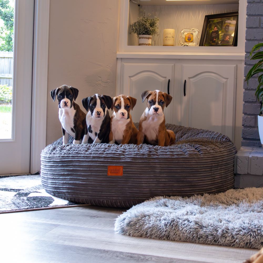 Waterproof 50-Inch Dog Bed 50 Inch / Terry Corduroy / Dark Gray