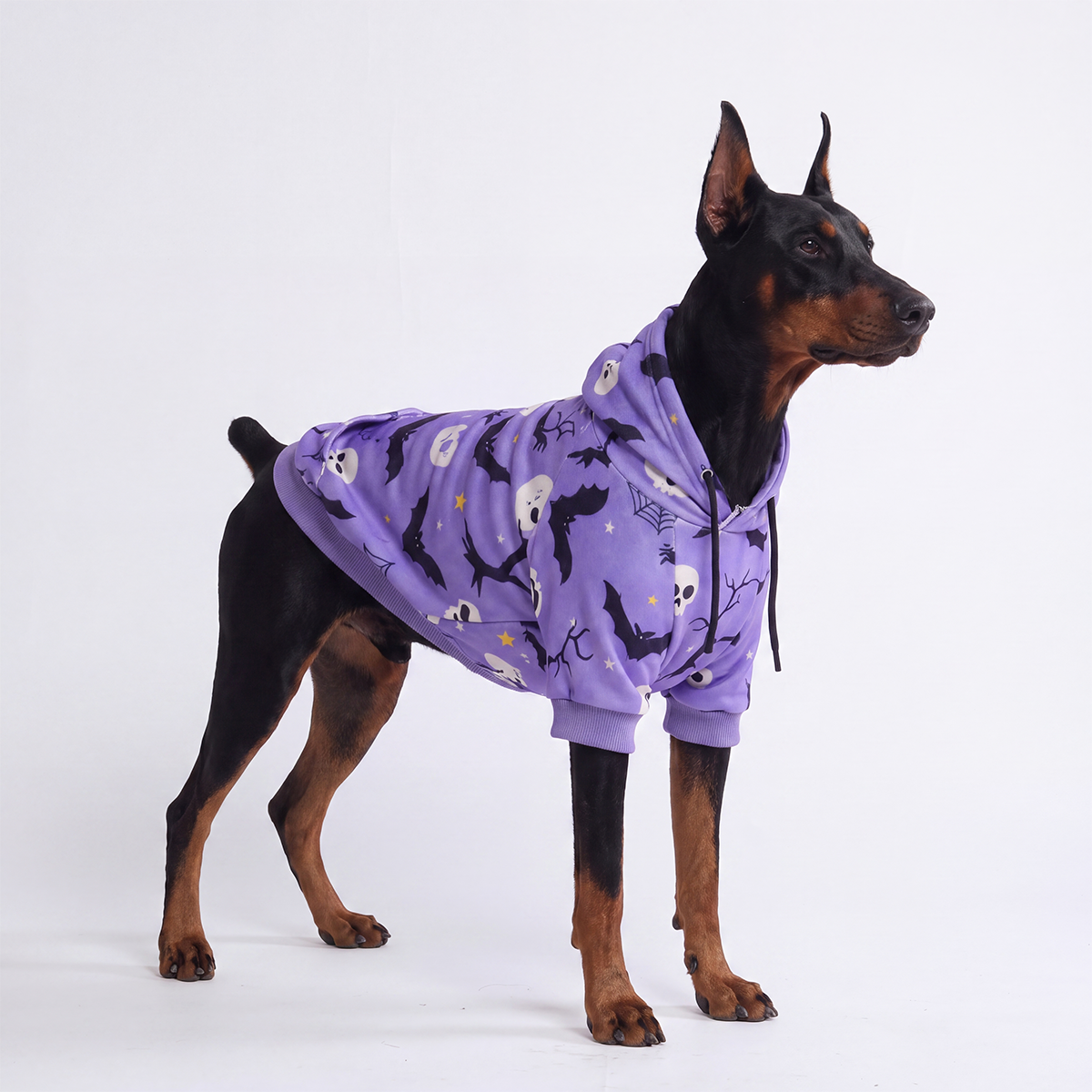 Halloween Dog Hoodie, Halloween Purple Hoodie / 4XL