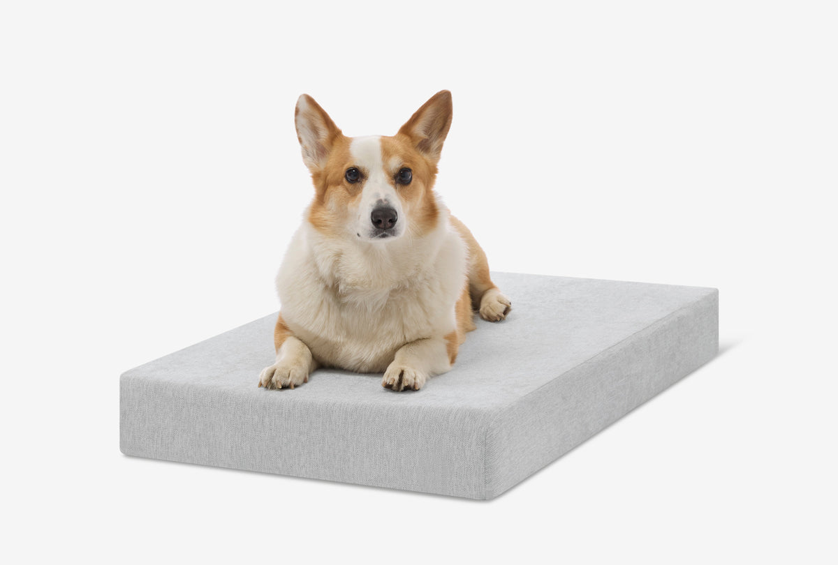 Orthopedic Dog Crate Bed Medium - 33.2" X 21.2" X 4" / Stormcloud Linen