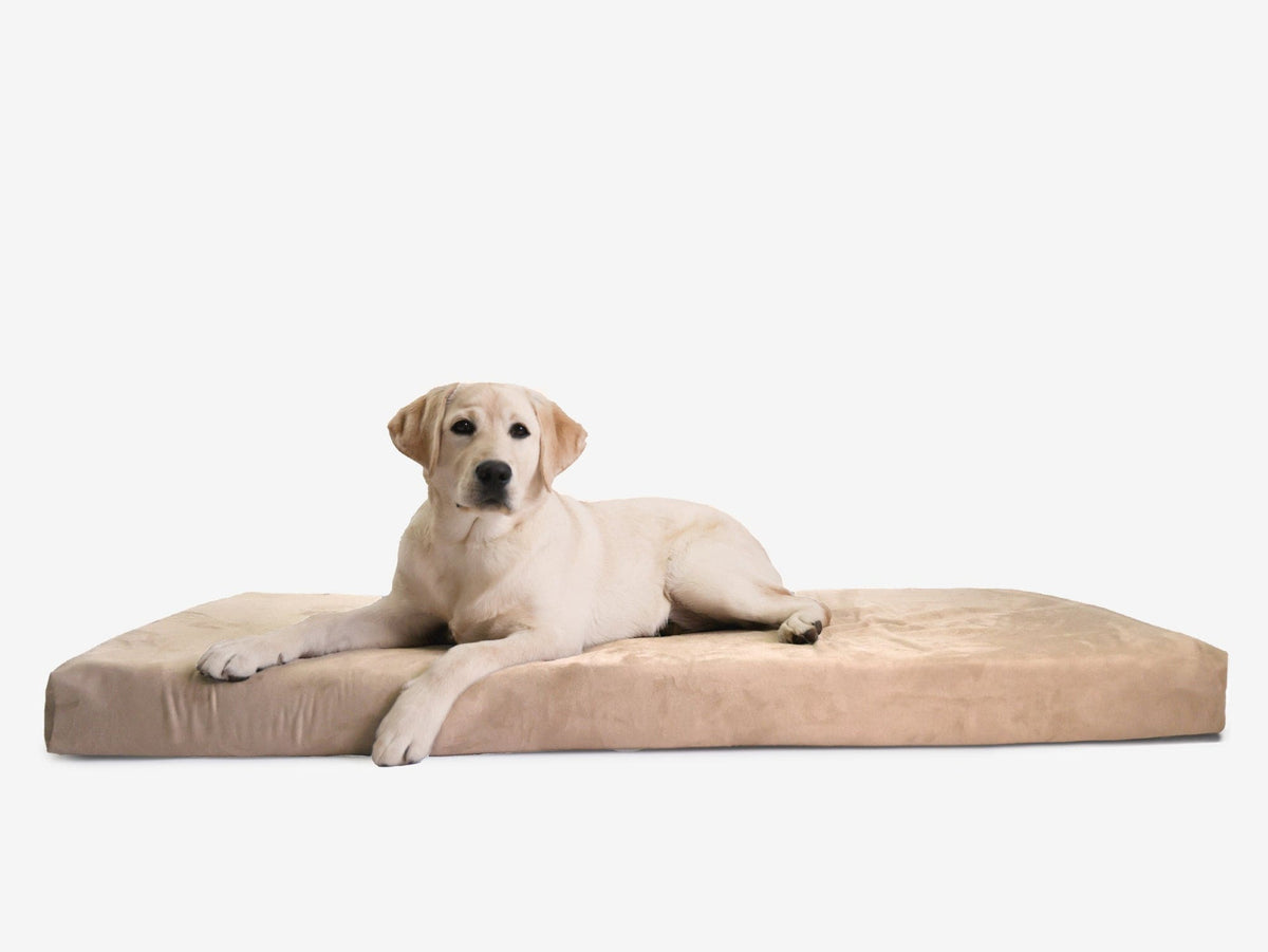 Orthopedic Dog Crate Bed XXL - 50" X 32" X 4" / Khaki