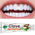 100g Mint and Clove Herbal Toothpaste Tube with Flip-Top Cap, Front-Label Ingredients and One-Piece Pack