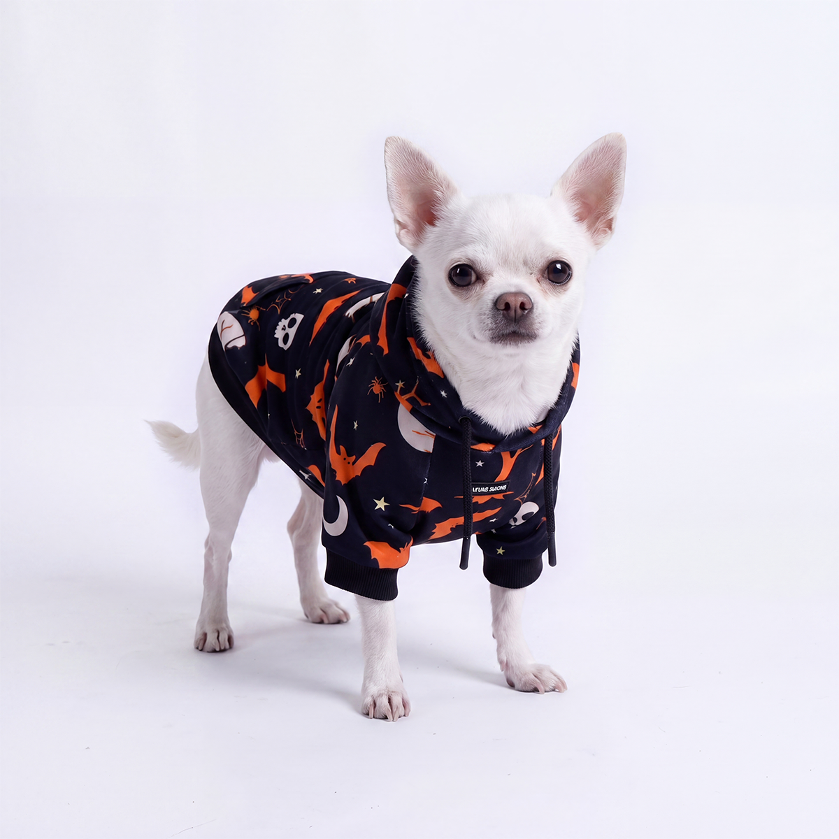 Halloween Dog Hoodie, Halloween Black Hoodie / S