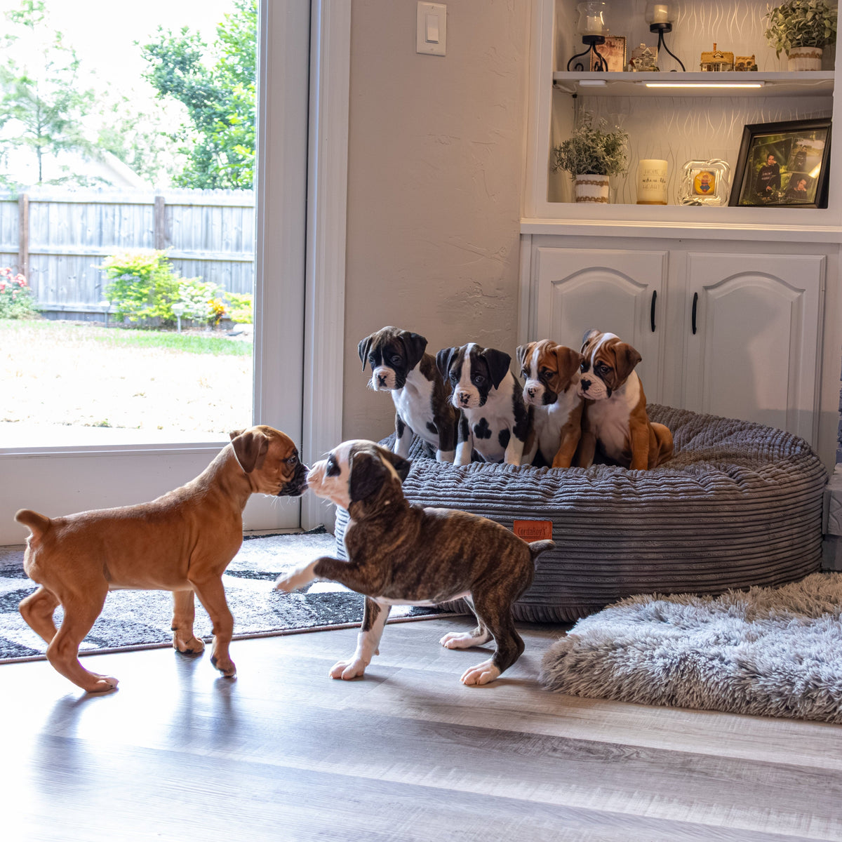 Waterproof 50-Inch Dog Bed product image 1