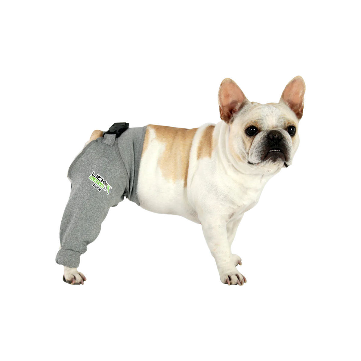 Dog recovery leg sleeve for rear leg protection, product image 4