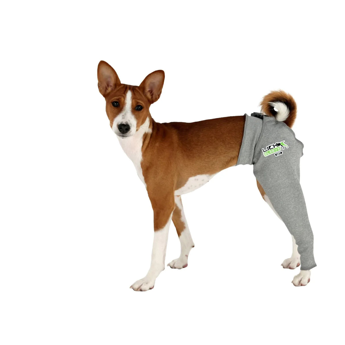 Dog recovery leg sleeve for rear leg protection, product image 5