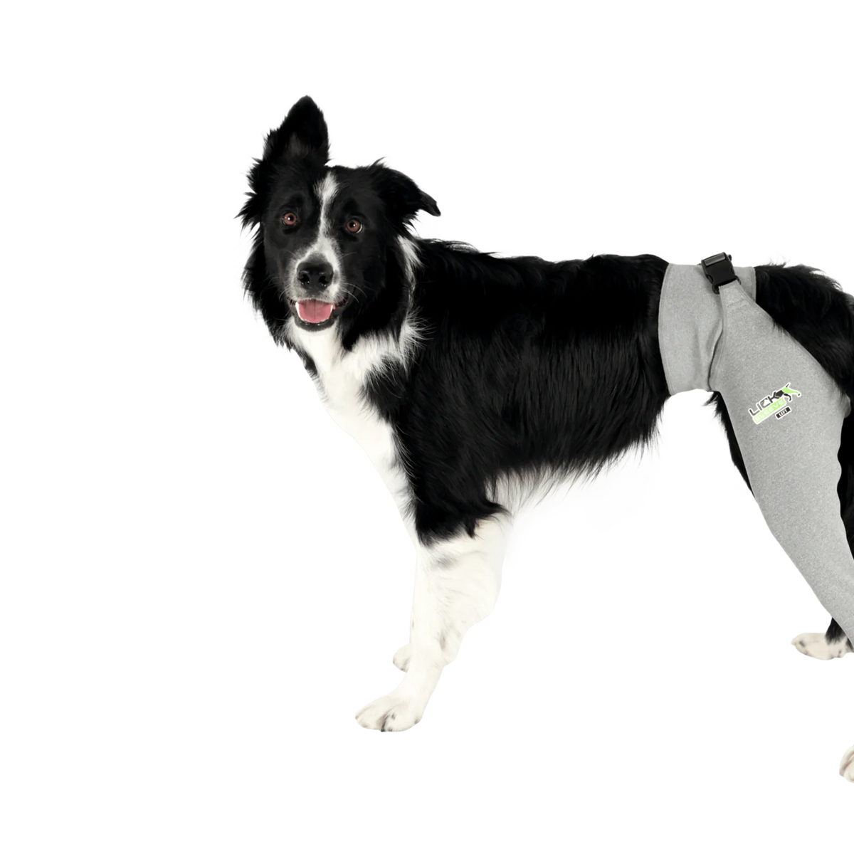 Dog recovery leg sleeve for rear leg protection, product image 6