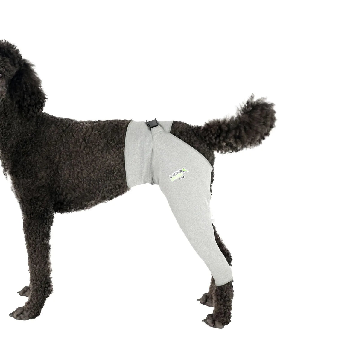 Dog recovery leg sleeve for rear leg protection, product image 7