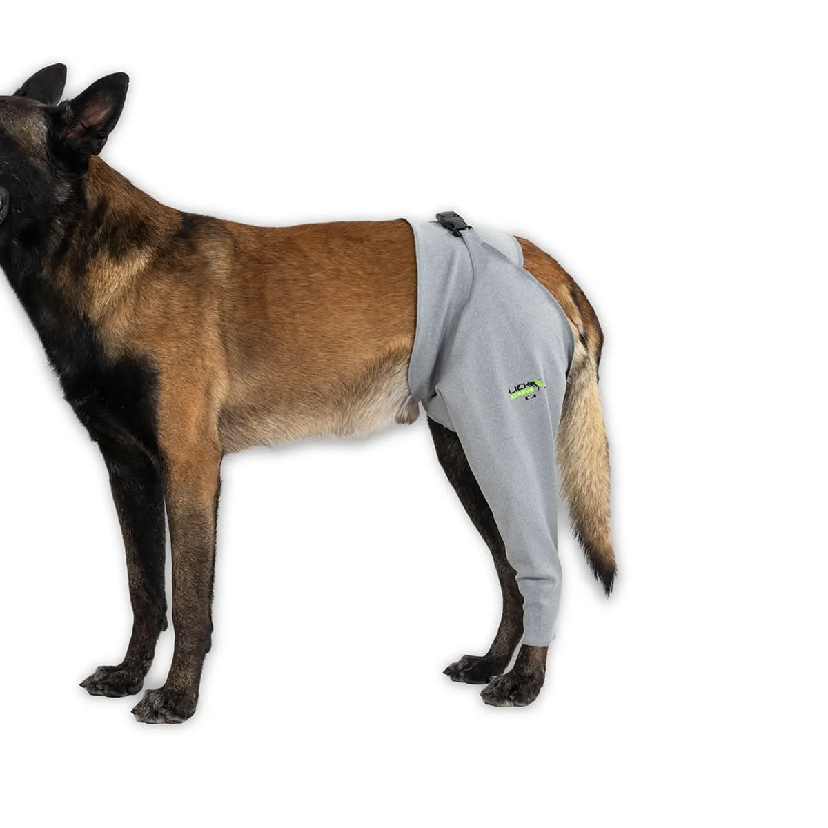 Dog recovery leg sleeve for rear leg protection, product image 8