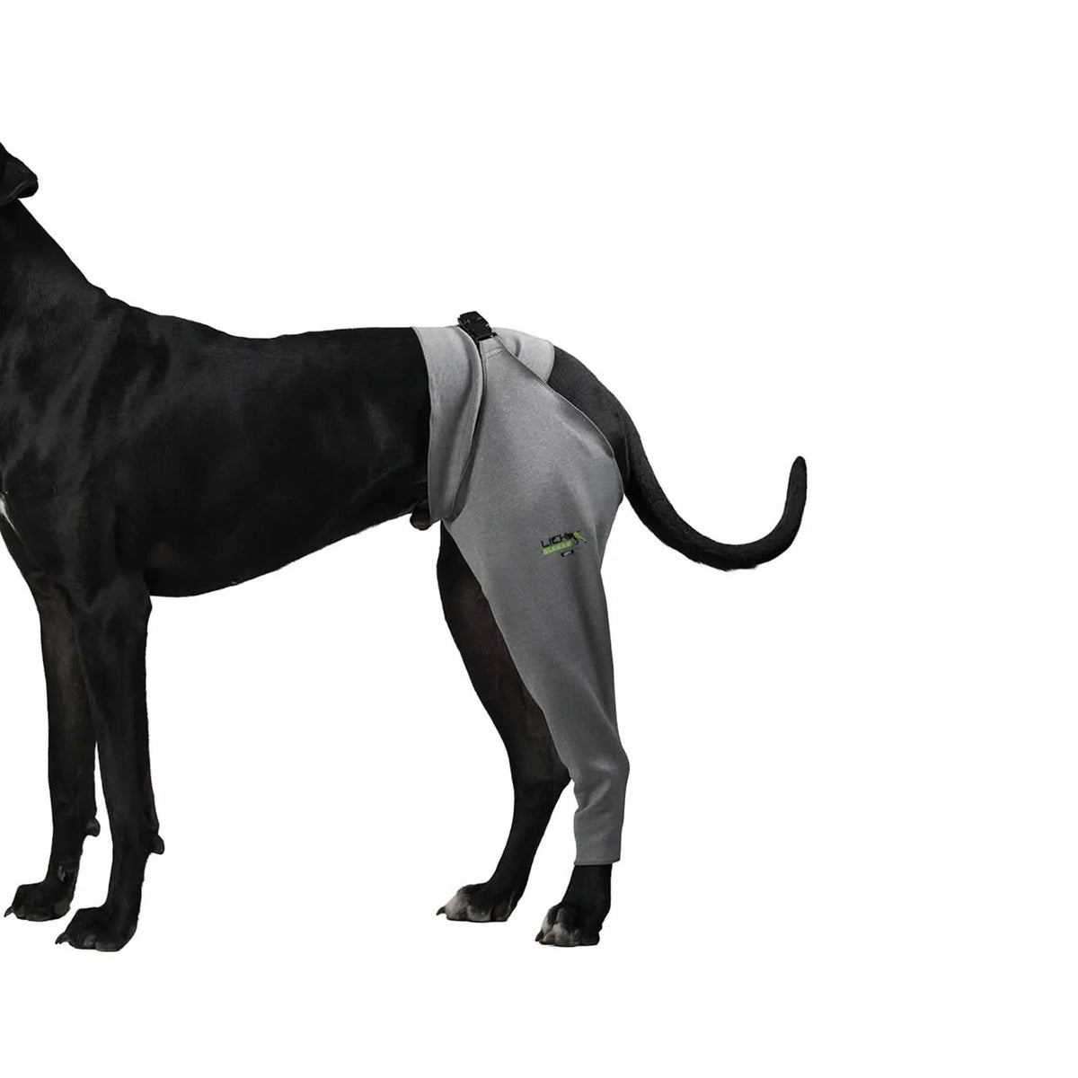 Dog recovery leg sleeve for rear leg protection, product image 9