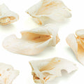 Thick-Cut Cow Ear Dog Chews 25 Pack