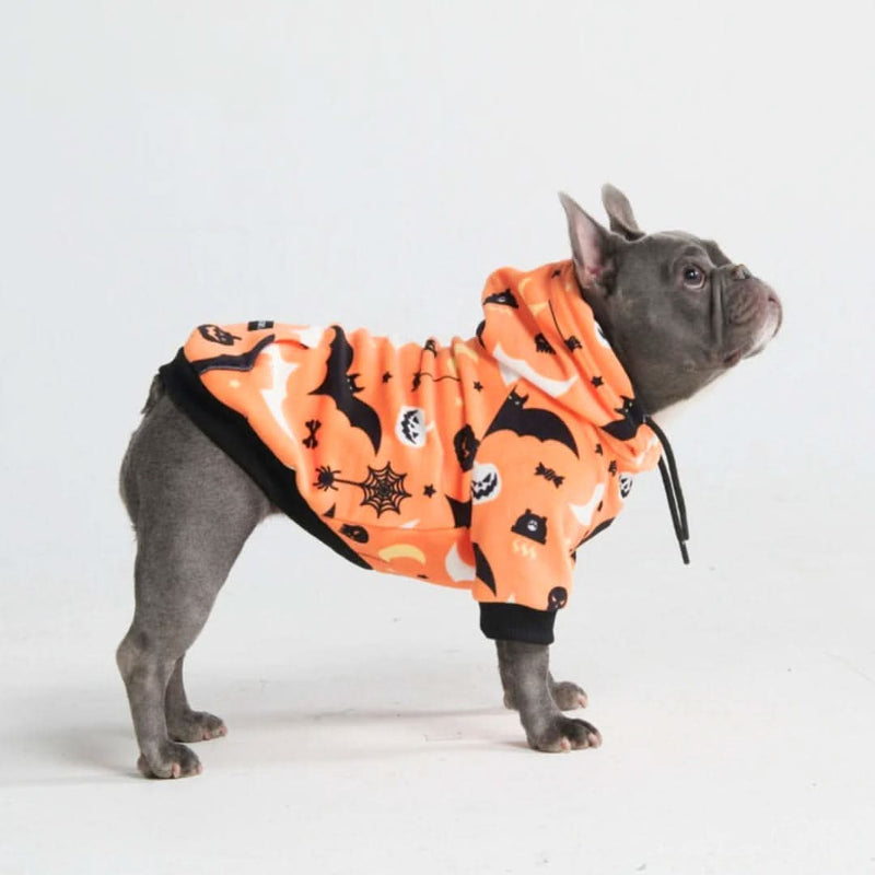 Halloween Dog Hoodie, Halloween Orange Hoodie / L
