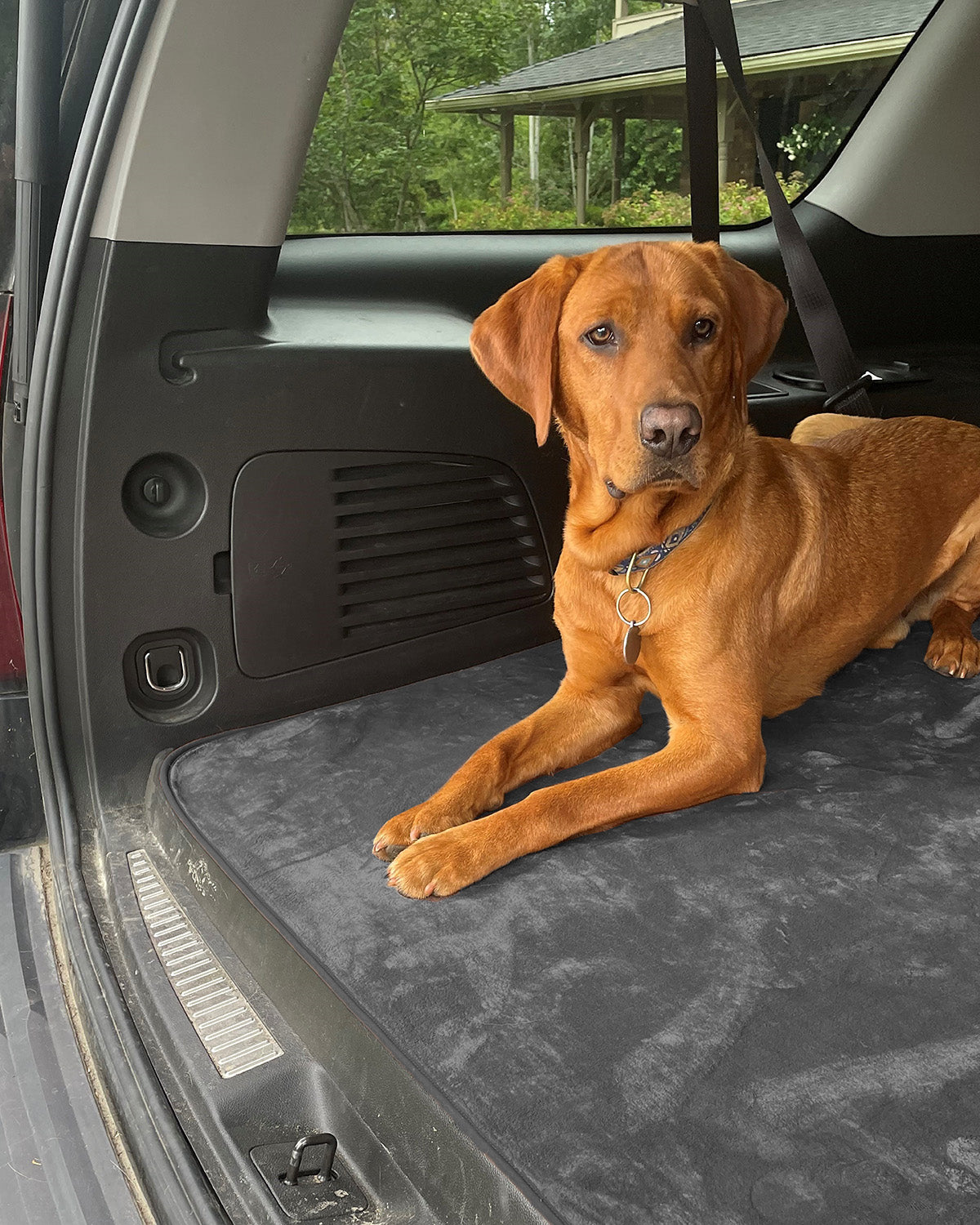 Non-Slip Pet Blanket product image 2
