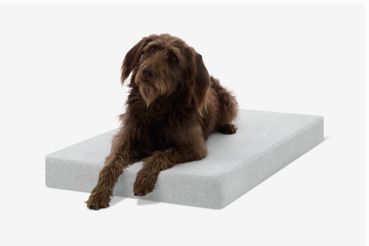 Orthopedic Dog Crate Bed Extra Large - 44.8" X 27" X 4" / Stormcloud Linen