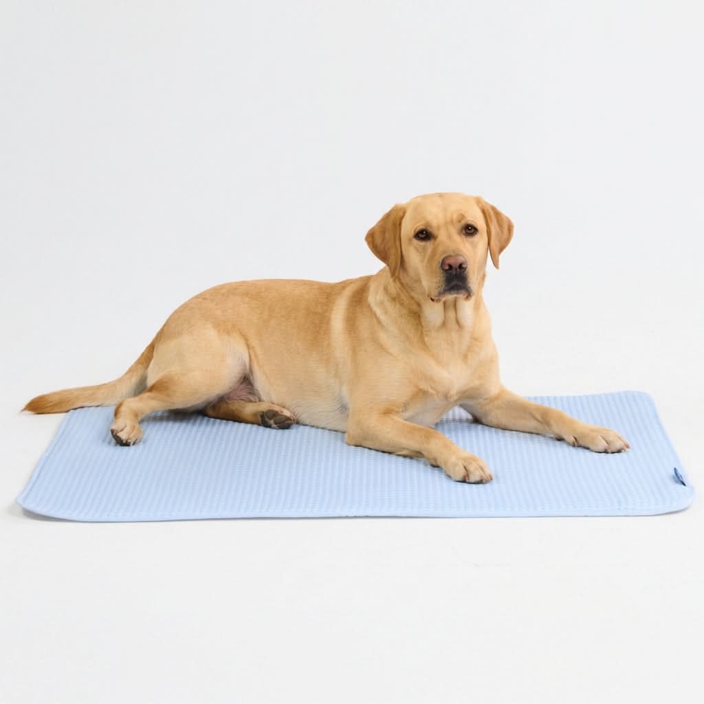 Breathable Cooling Dog Mat Waffle Blue / 2XL