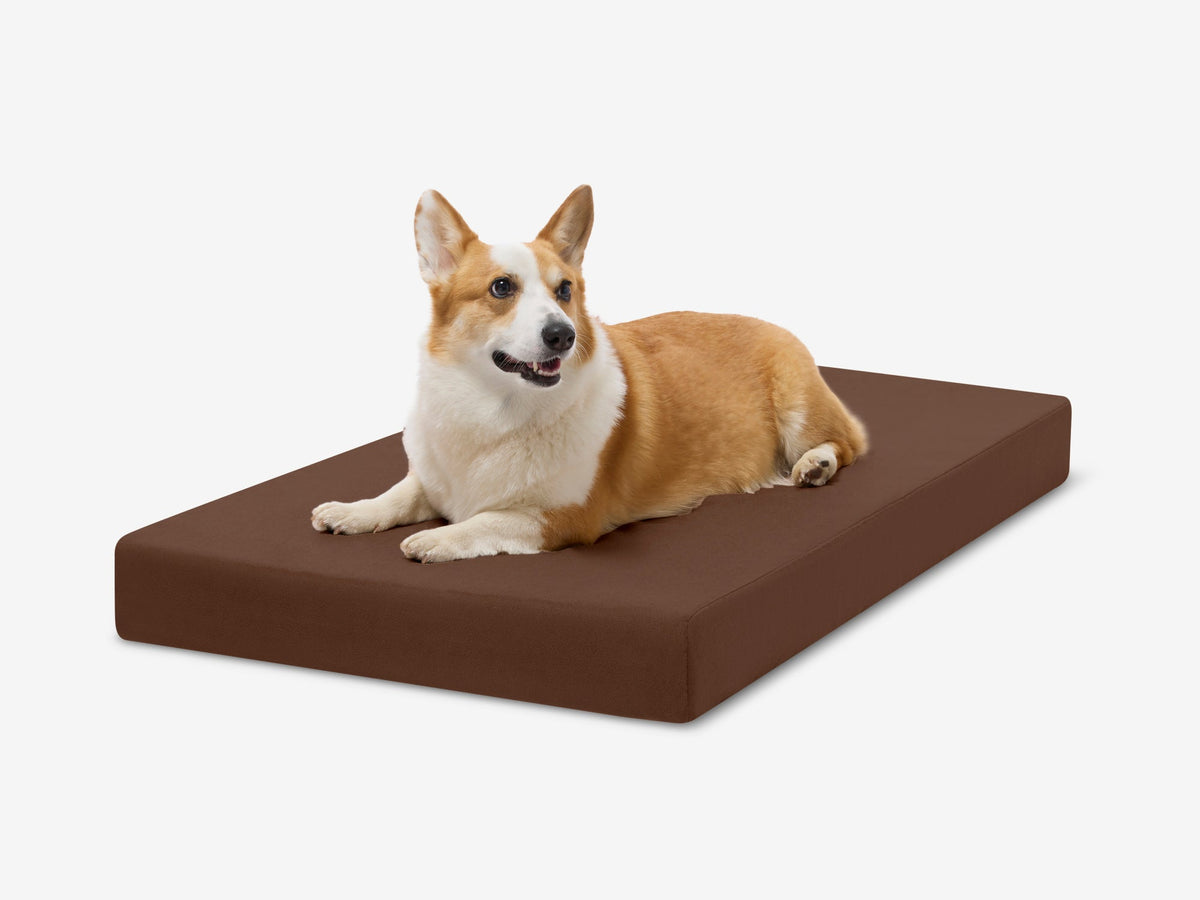 Orthopedic Dog Crate Bed Large - 39" X 25.5" X 4" / Chocolate