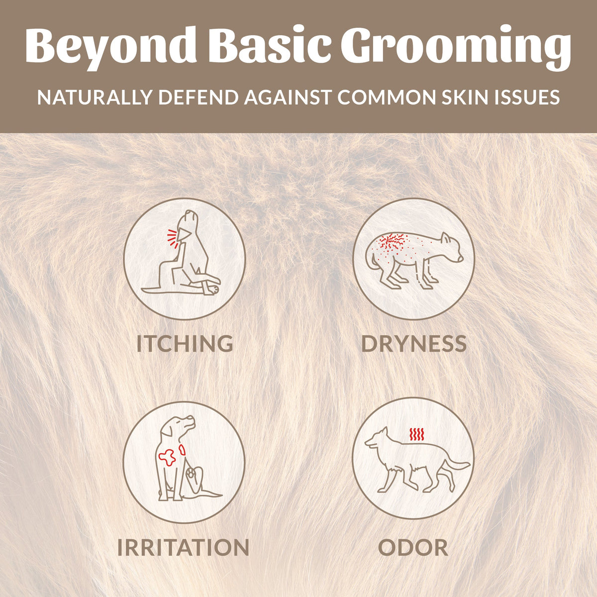 Probiotic Pet Shampoo and Conditioner product image 37