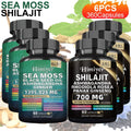 Sea Moss and Shilajit Capsule Supplements in 60-Count Bottles with One- to Six-Bottle Options